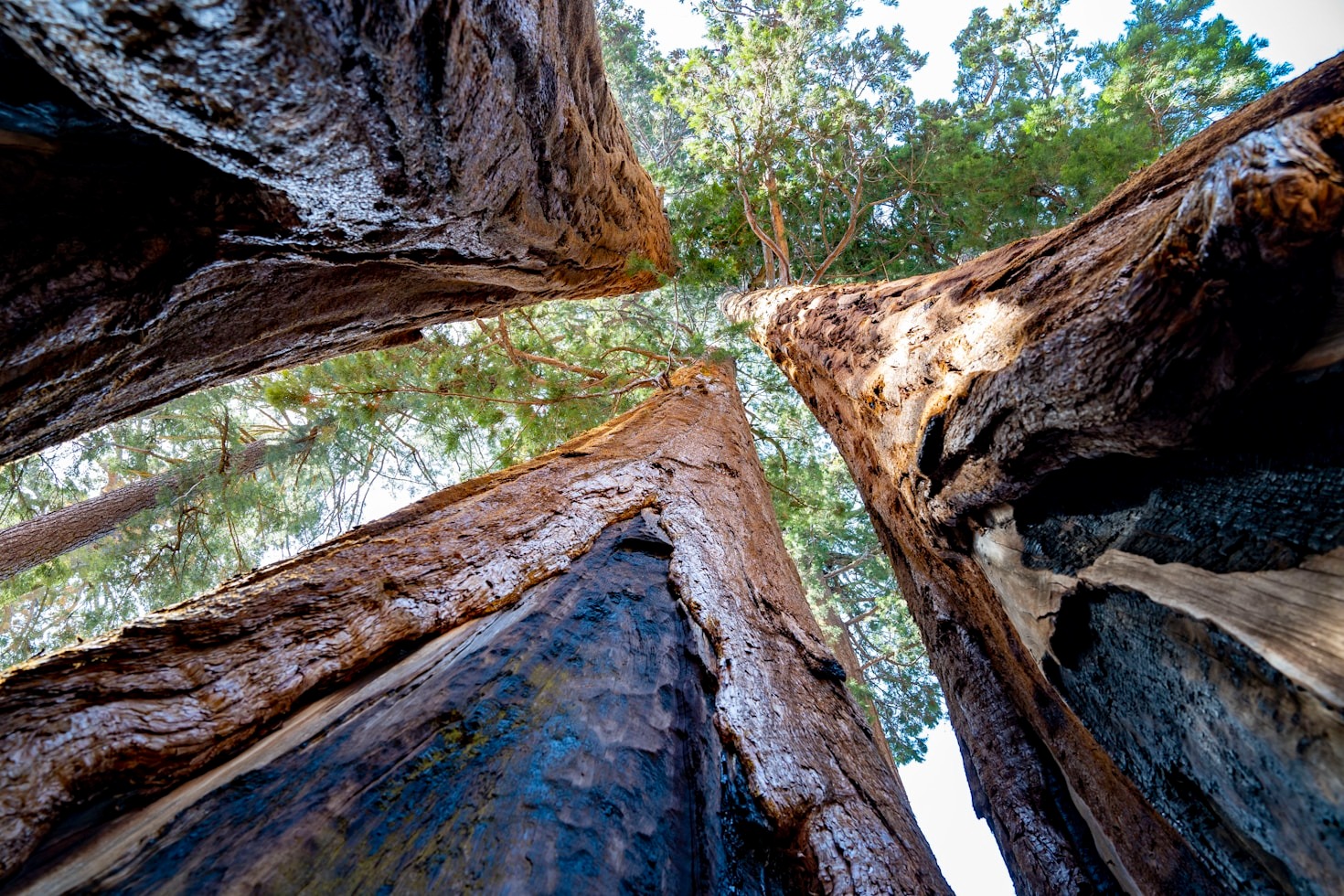 5 Ways to Embrace Your New Life